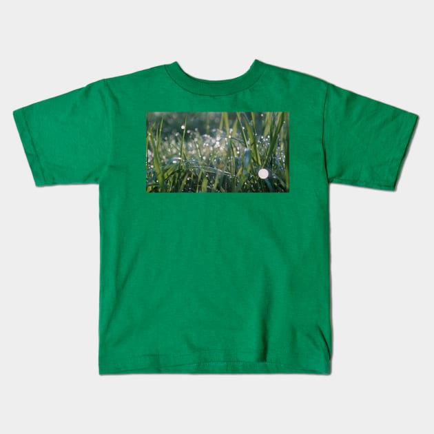 Grass Shining with Raindrops Kids T-Shirt by 1Redbublppasswo